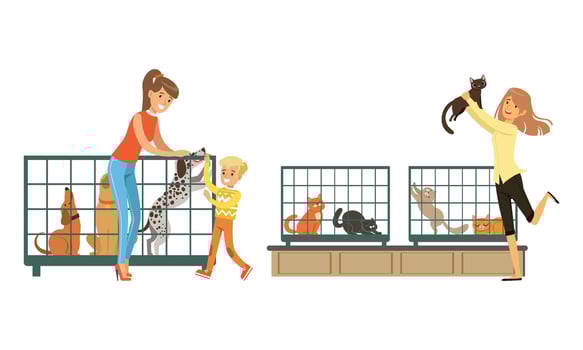 People Buying Pets in Pet Shop, Customers Choosing Home Animals Illustration vector