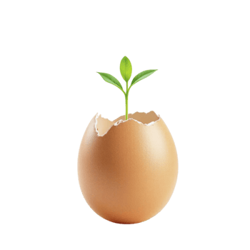 An egg with a green sprout growing out of it png