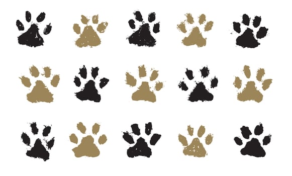 Ink Dog Paw, Cat Paw, grunge style, on white vector