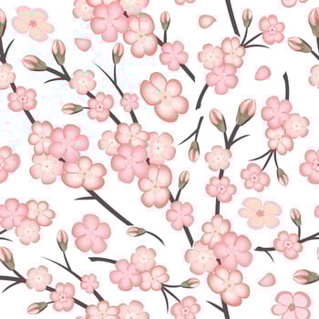 Spring seamless pattern with sakura branch flowers on white background. Pink flowers of Japanese cherry, or apple flowers. vector
