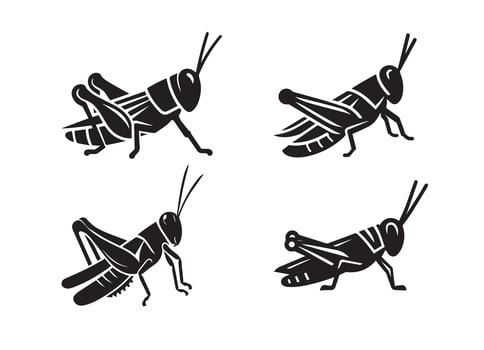 Grasshopper insect black solid silhouette bundle isolated on white background, clip art logo icon set vector