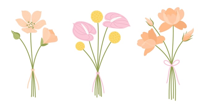 Wildflower bouquets set. Gentle floral bouquets, illustration. Flowers tied with ribbons. Meadow herbs and wild plants vector