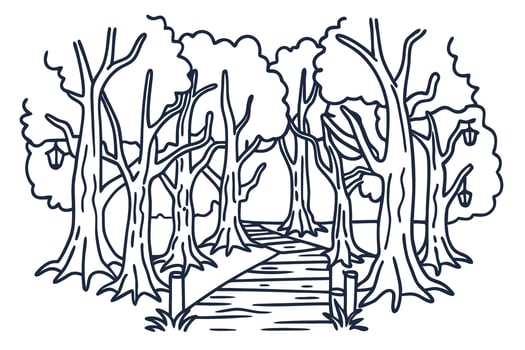 Line art forest pathway with tall trees and lanterns in a tranquil nature setting vector