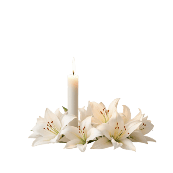 White lilies and a candle on a black background png