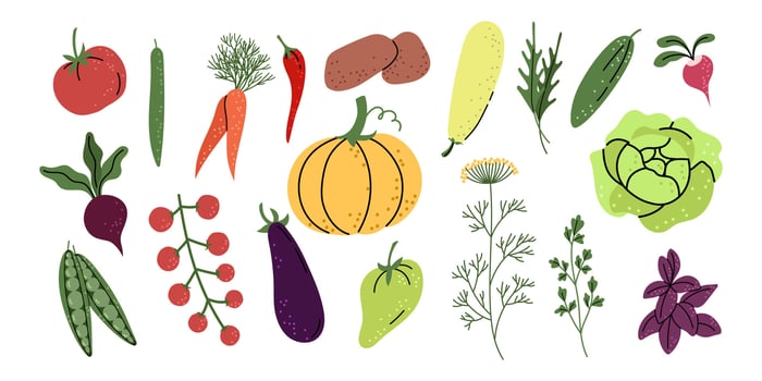 Set of Isolated Colorful Variety of Vegetables vector