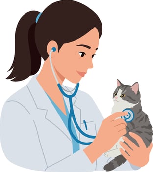 Veterinarian examining a gray cat with a stethoscope in a flat illustration vector