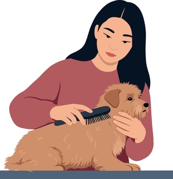 Woman grooming a small dog with a brush in a flat, minimal illustration vector