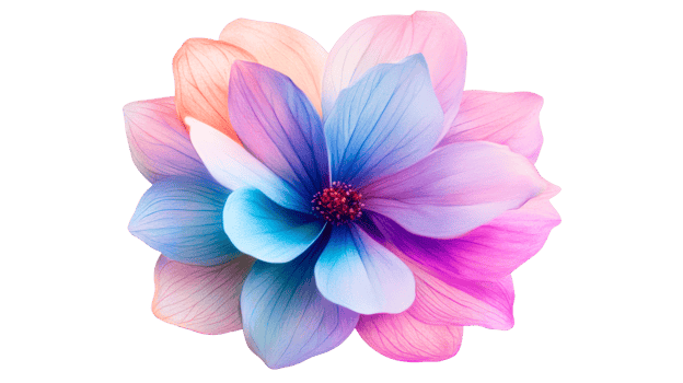 Colorful bloom with gradient petals, artistic floral design, cut out transparent png