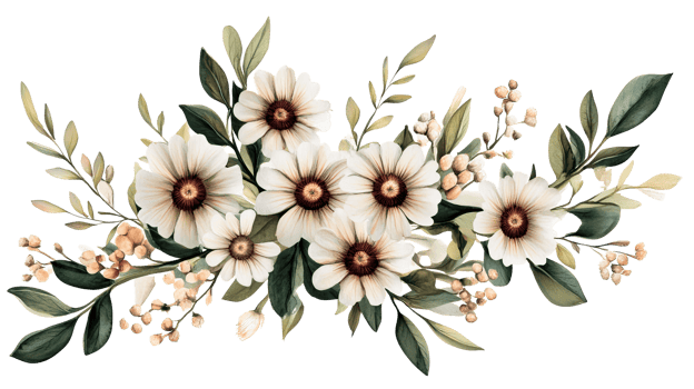 Floral arrangement with white daisy blossoms and foliage, cut out transparent png