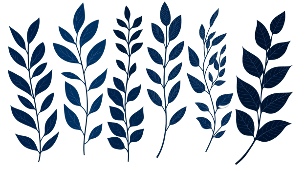 Blue leaves on branches isolated on black background, cut out transparent png