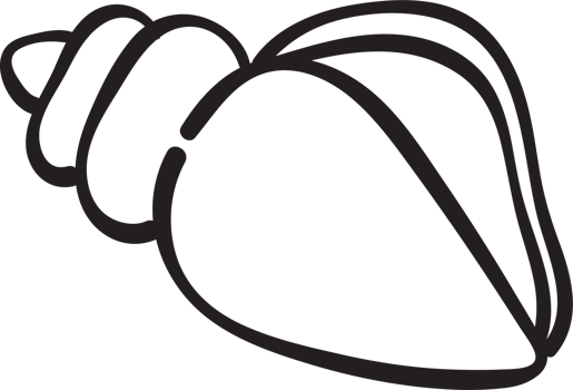 Cute Seashell Cone Doodle Outline png
