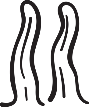 Cute Seaweed Doodle Outline png
