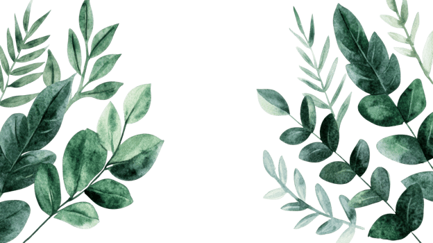 Watercolor leaves in green hues on black, cut out transparent png