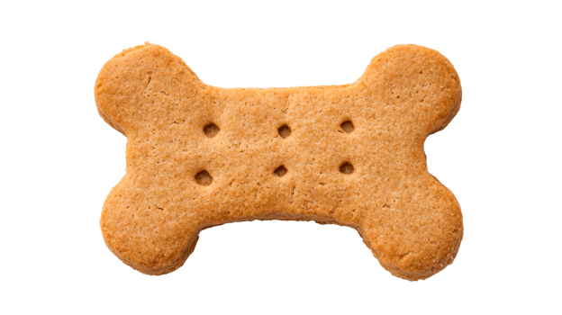 Bone shaped dog biscuit, pet food, animal treat, baked, cut out transparent png