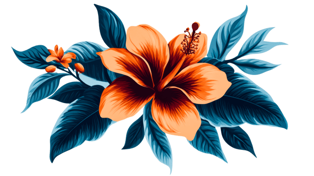 Hibiscus flower illustration with lush teal leaves, cut out transparent png