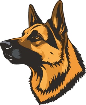 The german shepherd dog is shown in this illustration vector