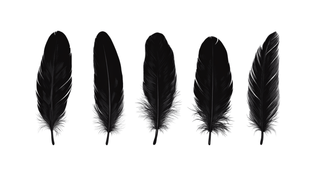 Set of five black feathers art, illustration, cut out transparent png