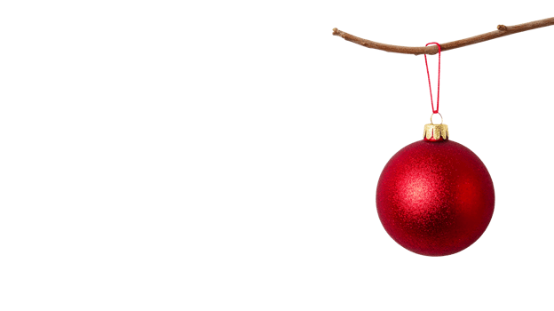 Red ornament hanging on a twig on black, cut out transparent png