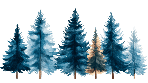 Watercolor painted fir trees, forest, nature, christmas, winter, cut out transparent png