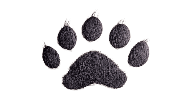 Furry paw print illustration, canine texture on black, cut out transparent png