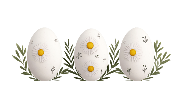Three white Easter eggs with daisies and olive branches, cut out transparent png