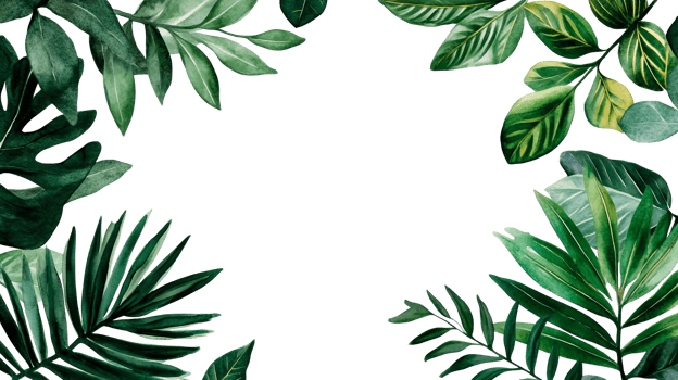 Lush green botanical border, fresh leaves design element, cut out transparent png