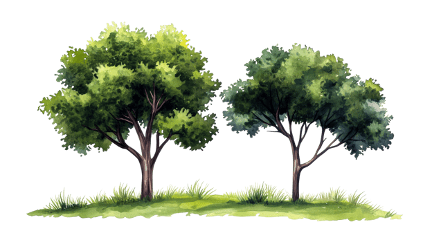 Watercolor painting of two trees on green grass , cut out transparent png