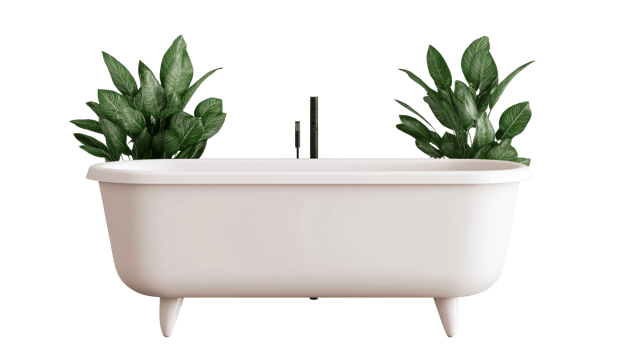 Minimalist white bathtub with green plants, isolated on black, cut out transparent png
