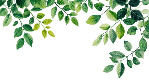 Lush foliage with green leaves on branches, cut out transparent png