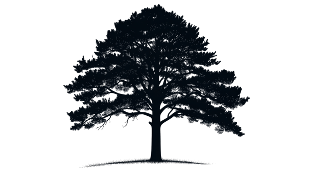 Tree silhouette drawing on black backdrop, tree, grass, cut out transparent png