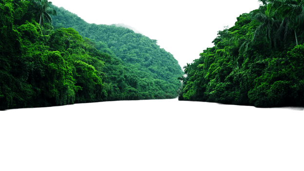 Verdant Mountain Gorge with Lush Tropical Vegetation, cut out transparent png