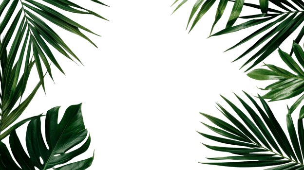Tropical leaves frame background, jungle, botanical foliage, cut out transparent png