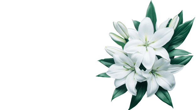 Elegant white lilies bouquet, floral arrangement on black background, cut out transparent png