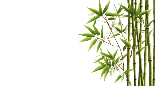 Bamboo stem with green leaves on dark background, cut out transparent png