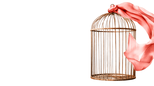 Vintage birdcage draped with coral fabric, cut out transparent png