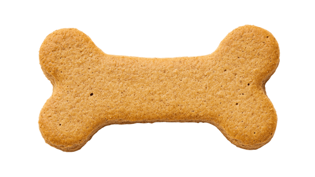 Bone-shaped cookie, dog treat, brown baked snack, isolated, cut out transparent png