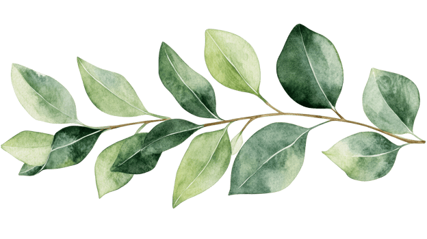 Lush Green Leafy Sprig with Textural Details, cut out transparent png