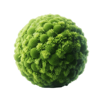 The Spherical Garden png