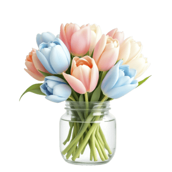 A glass vase filled with colorful tulips png
