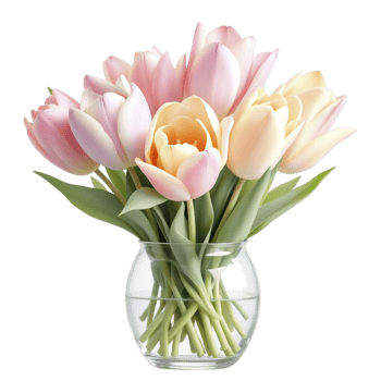 A vase with pink and yellow tulips in it png