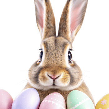 A bunny is sitting in front of a group of colorful eggs png
