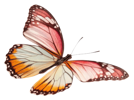 vibrant butterfly with intricate patterns and colors, showcasing shades of orange, pink, and white, resting gracefully png