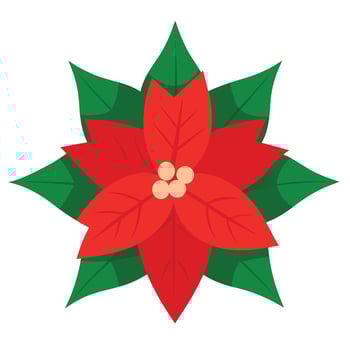 Red Poinsettia Flower with Green Leaves, Round Center on White Background vector