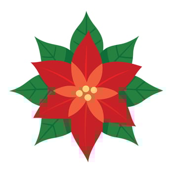 Poinsettia Red Petals, Green Leaves, Gold Details vector