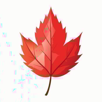 Red maple leaf icon symbol of autumn or Canada theme vector