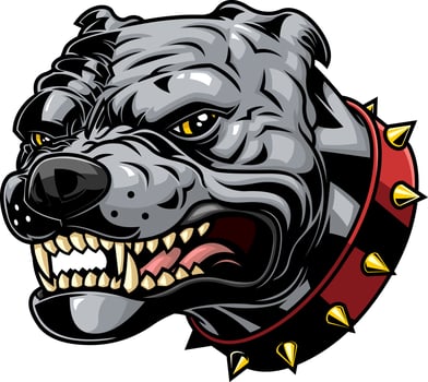 Angry Bulldog Head Illustration With Spiked Collar And Snarling Teeth vector
