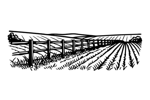 Rural landscape illustration farmland field with fencing and plowed land vector