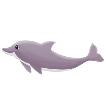 Cute Dolphin Character Design png