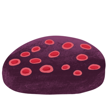 Purple hole sponge coral sea plant png