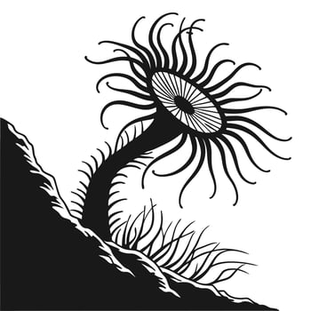 Abstract Black And White Plant Illustration vector